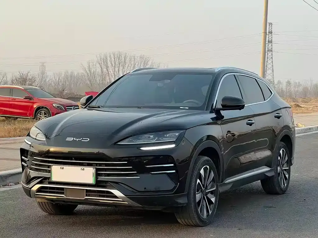 BYD PLUS New Energy 2024 из CN, фото 1