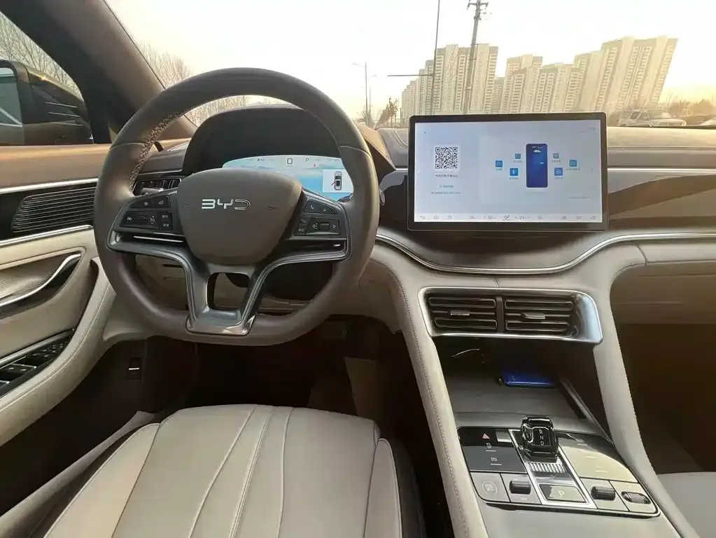 BYD PLUS New Energy 2024 из CN, фото 10