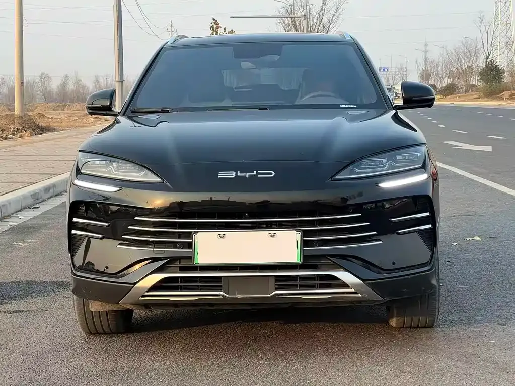 BYD PLUS New Energy 2024 из CN, фото 2