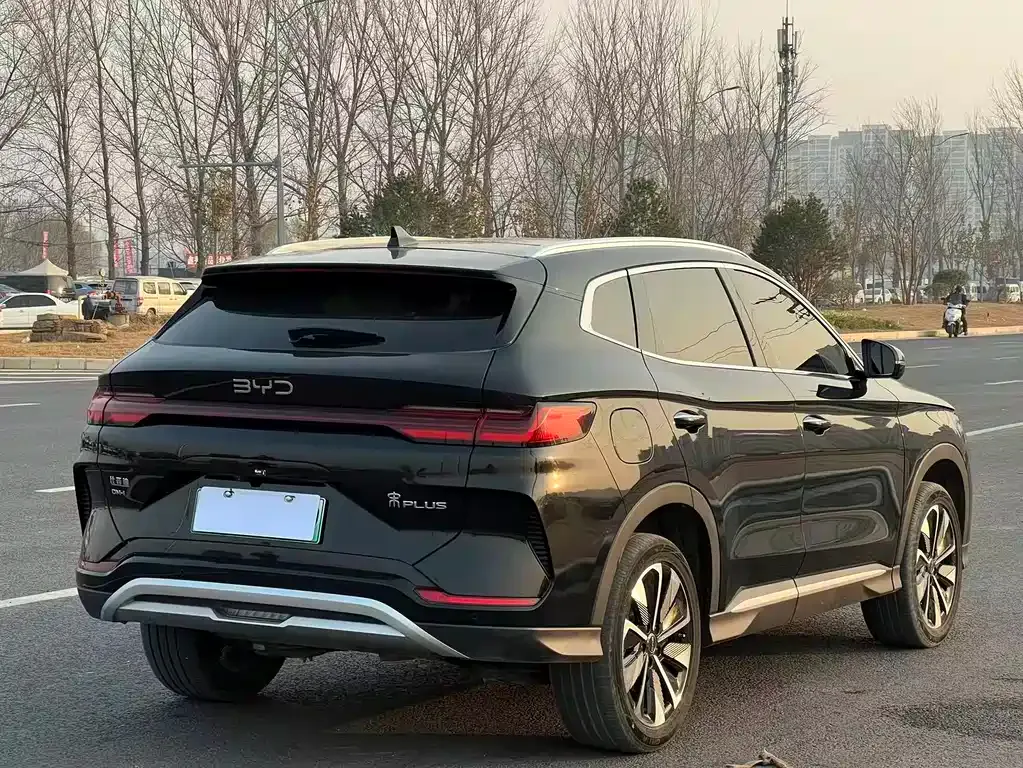 BYD PLUS New Energy 2024 из CN, фото 4