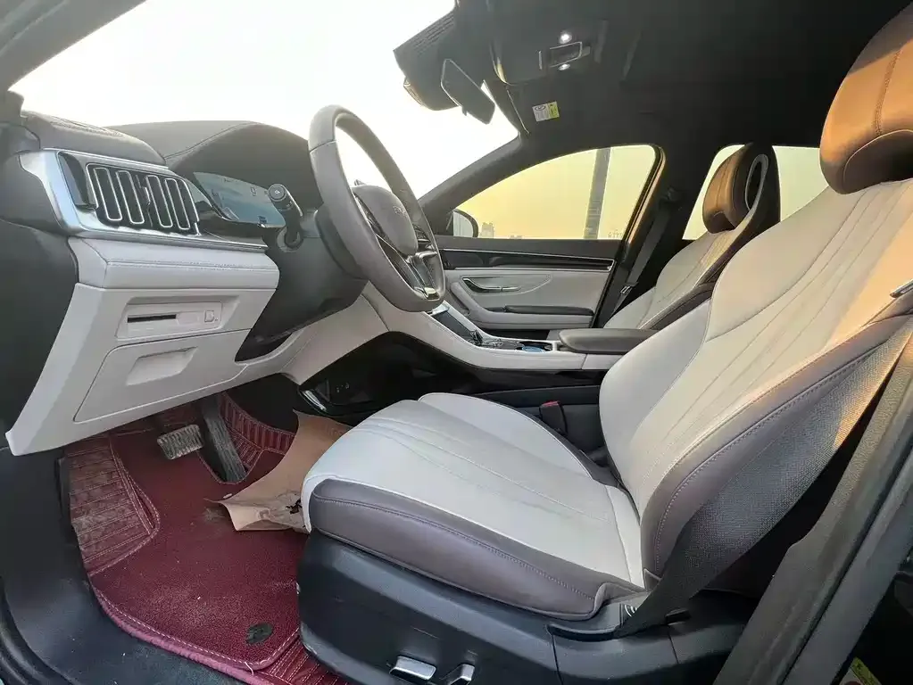 BYD PLUS New Energy 2024 из CN, фото 7