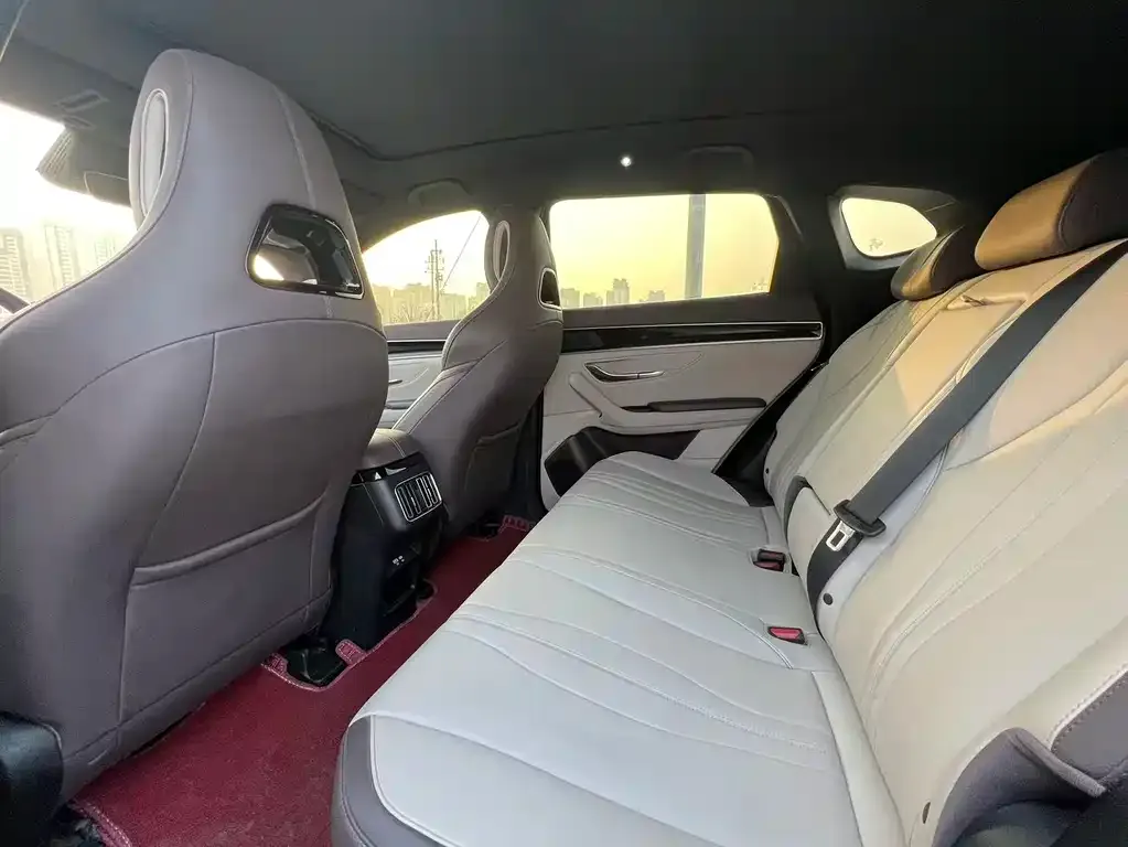 BYD PLUS New Energy 2024 из CN, фото 8