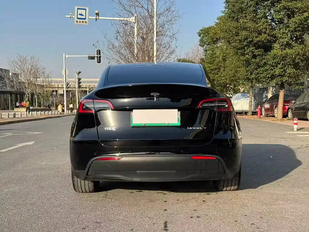 Tesla Model Y 2022 из CN, фото 8