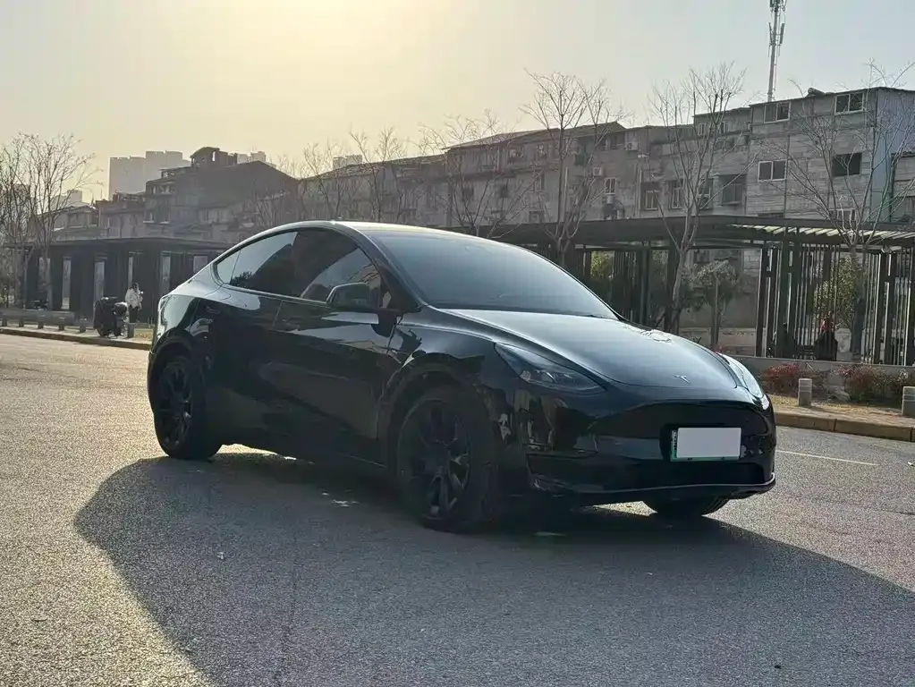 Tesla Model Y 2022 из CN, фото 2