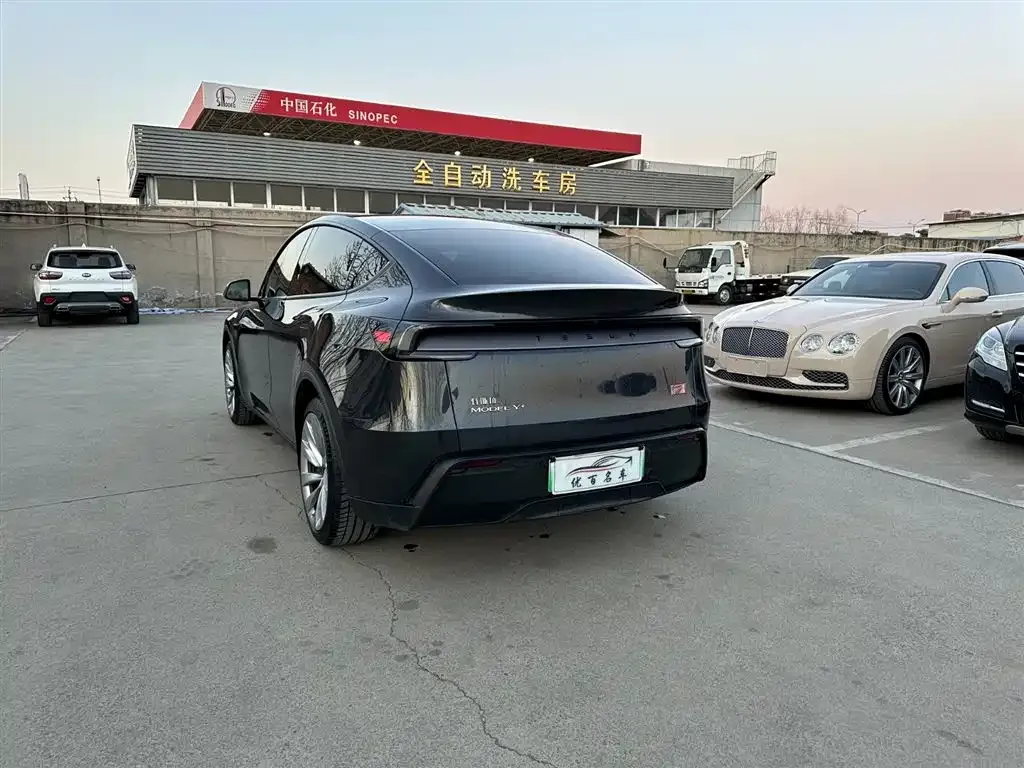 Tesla Model Y — фото 9