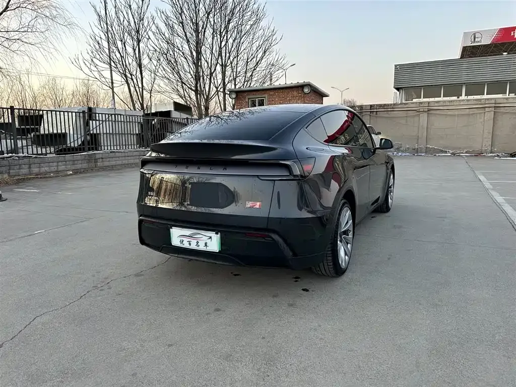 Tesla Model Y — фото 10