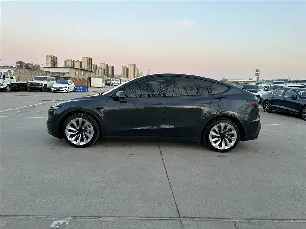 Tesla Model Y — фото 8