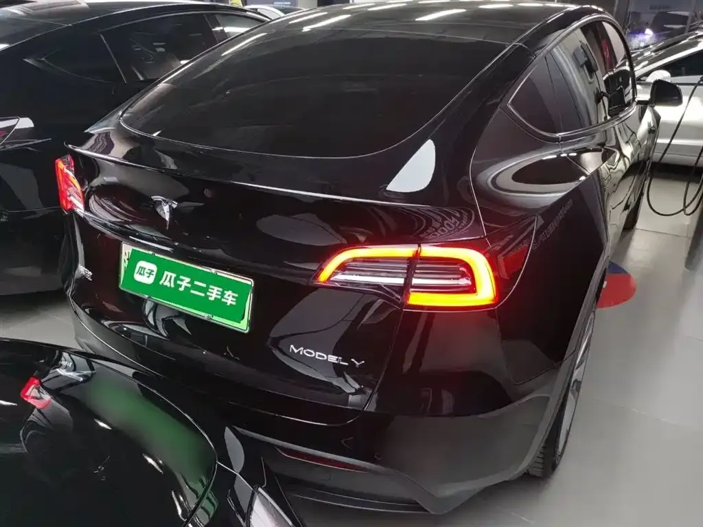 Tesla Model Y — фото 10