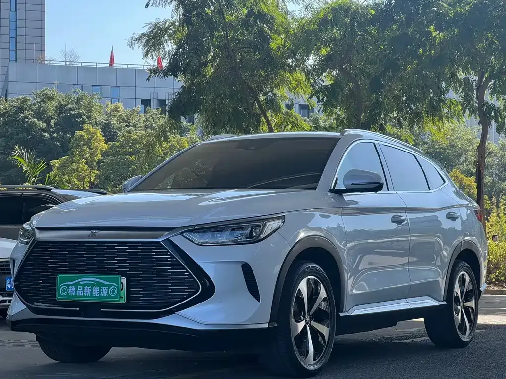 BYD PLUS New Energy 2023 из CN, фото 1