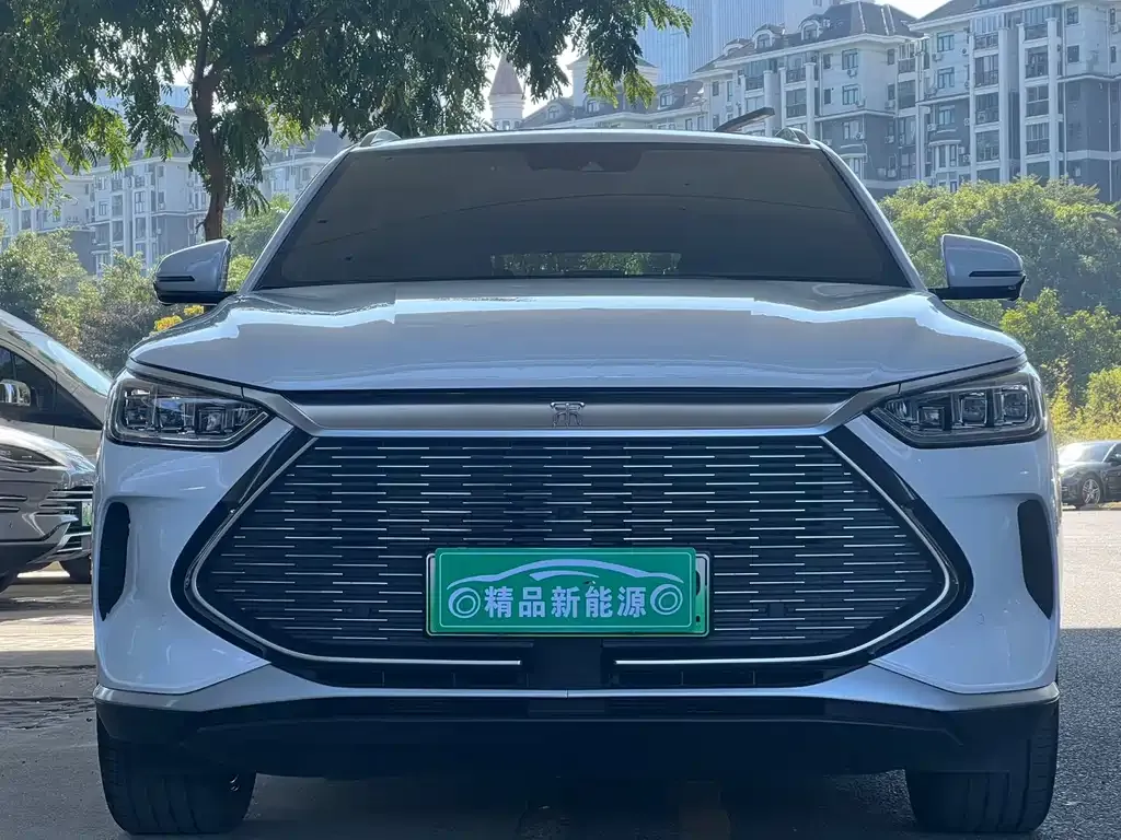 BYD PLUS New Energy 2023 из CN, фото 5