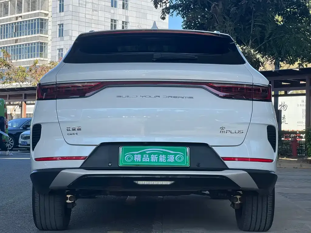 BYD PLUS New Energy 2023 из CN, фото 6
