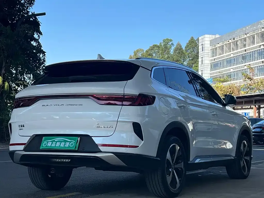 BYD PLUS New Energy 2023 из CN, фото 4