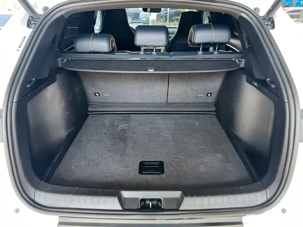 BYD PLUS New Energy 2023 из CN, фото 7