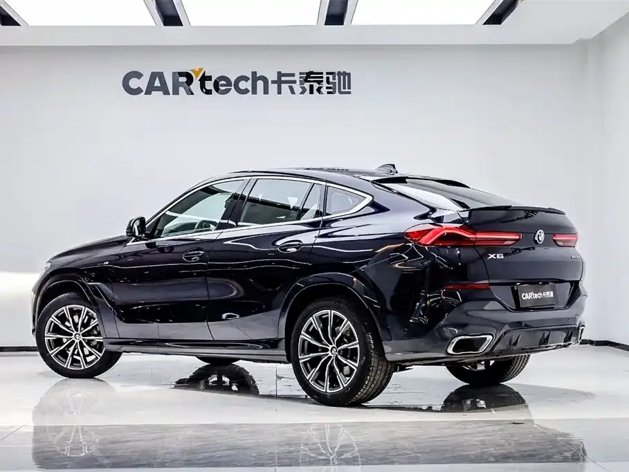 BMW X6 — фото 10