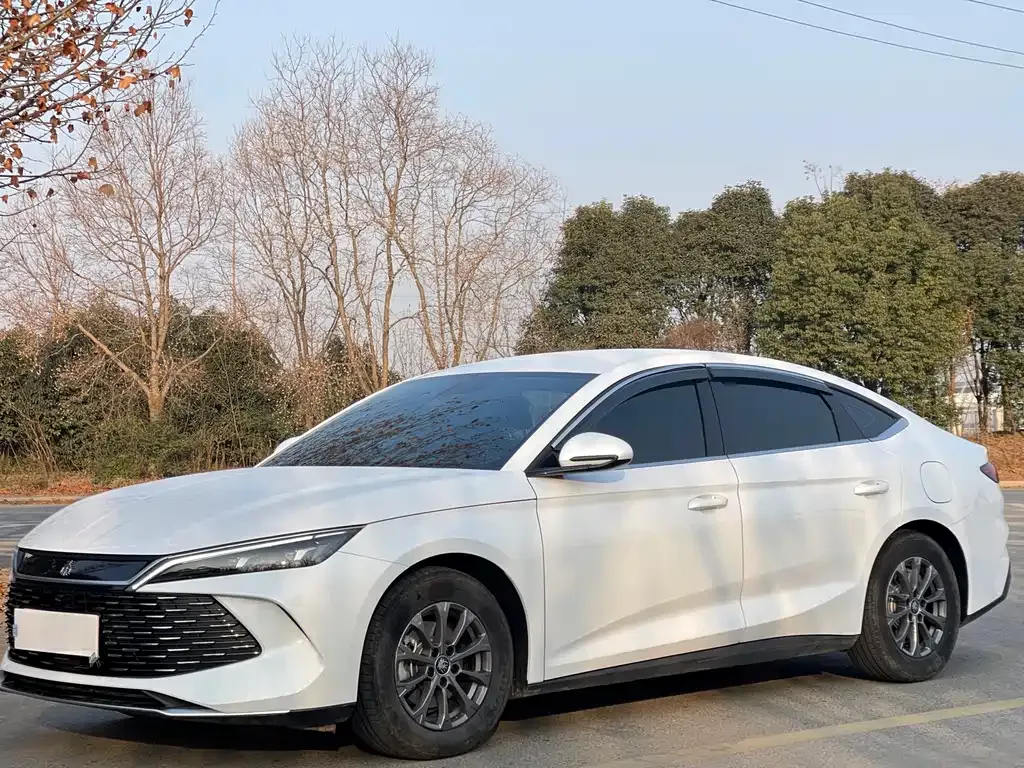 BYD Qin L 2025 из CN, фото 1