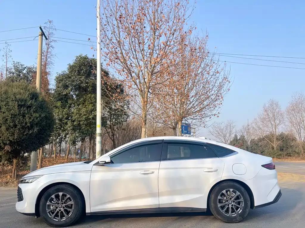 BYD Qin L 2025 из CN, фото 10