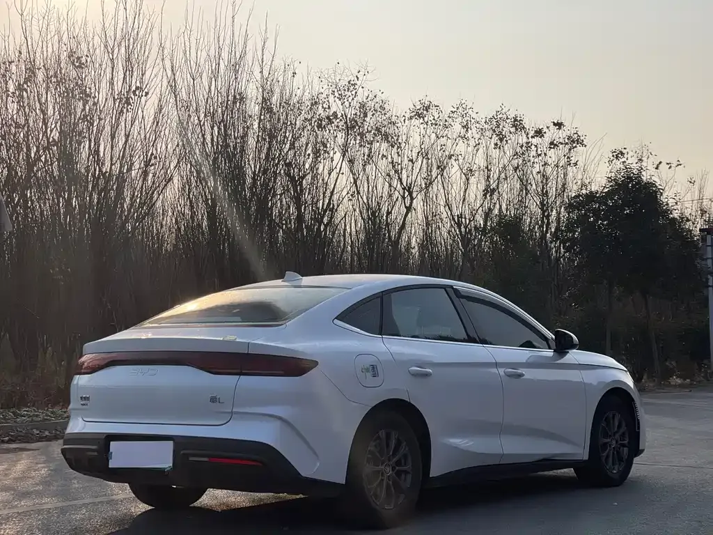BYD Qin L 2025 из CN, фото 8