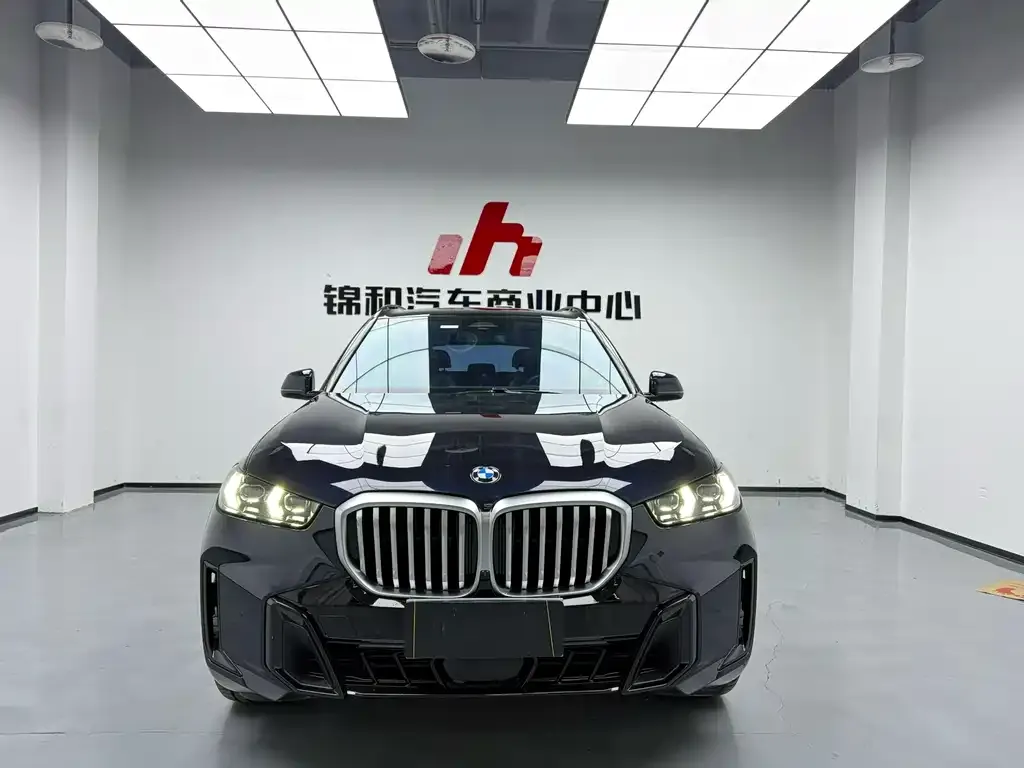 BMW X5 2024 из CN, фото 1
