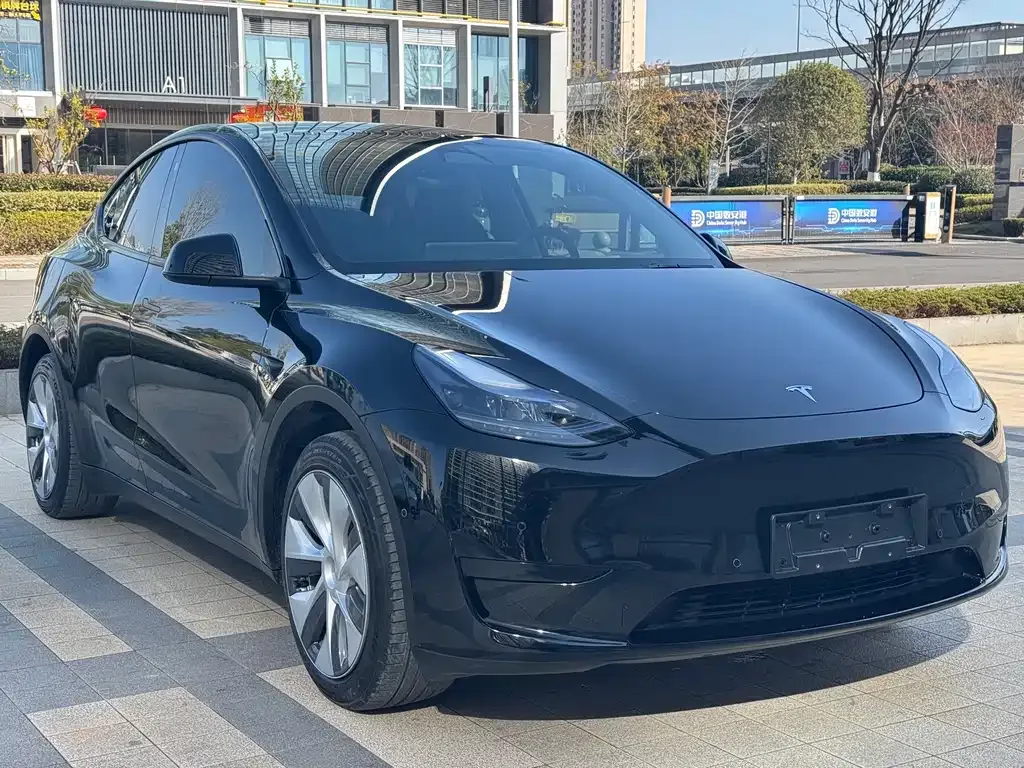 Tesla Model Y 2023 из CN, фото 1
