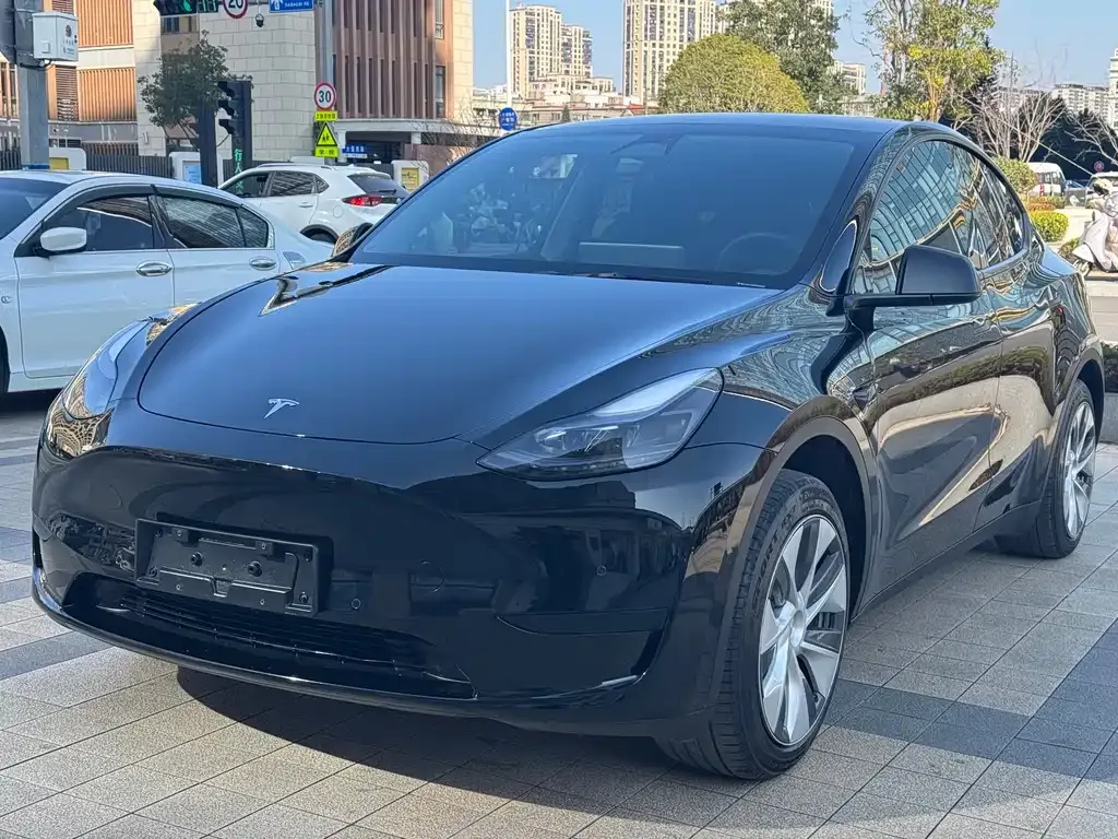 Tesla Model Y 2023 из CN, фото 10