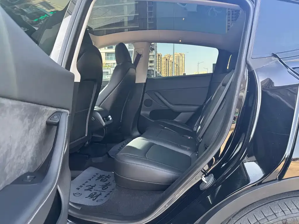 Tesla Model Y 2023 из CN, фото 5