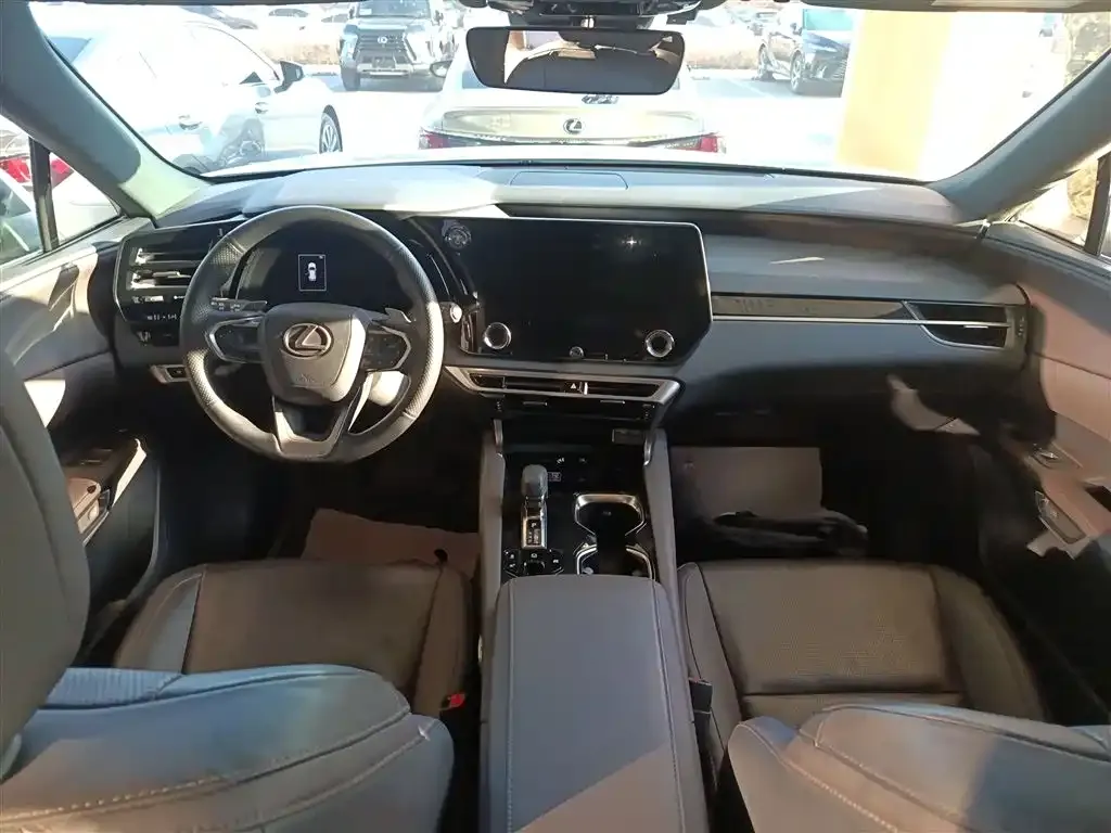 Lexus RX 2023 из CN, фото 10