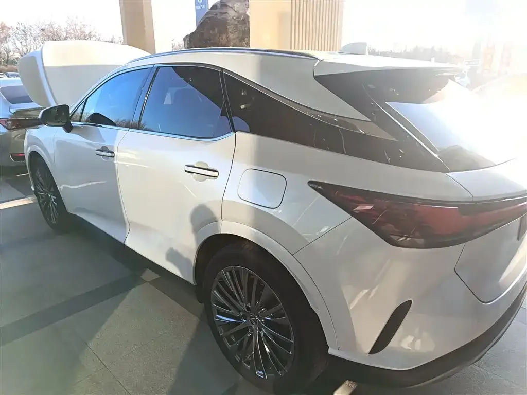 Lexus RX 2023 из CN, фото 6