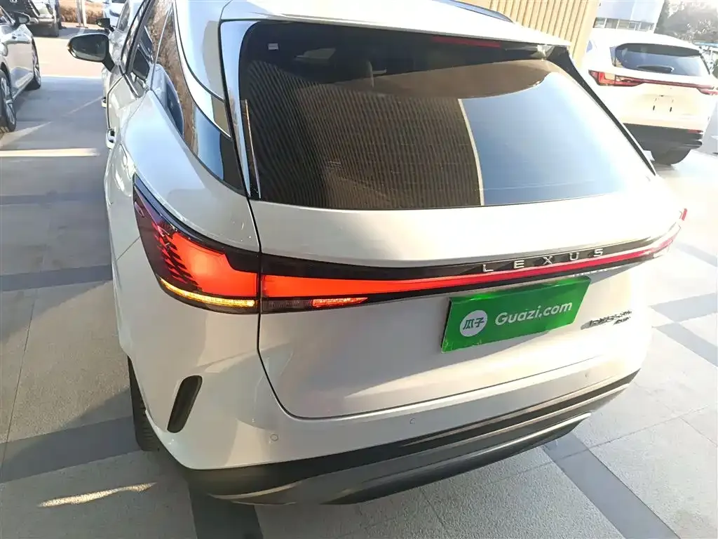 Lexus RX 2023 из CN, фото 3