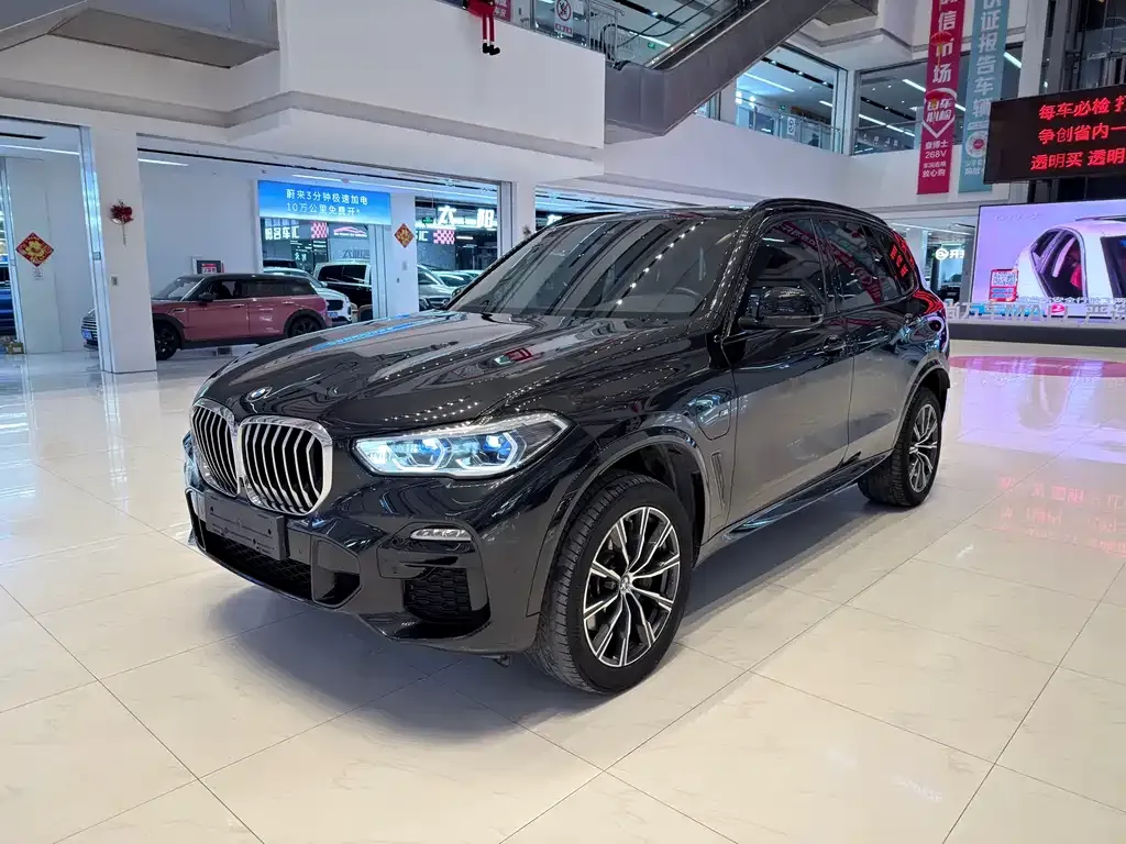 BMW X5 New Energy (Import) 2021 из CN, фото 1