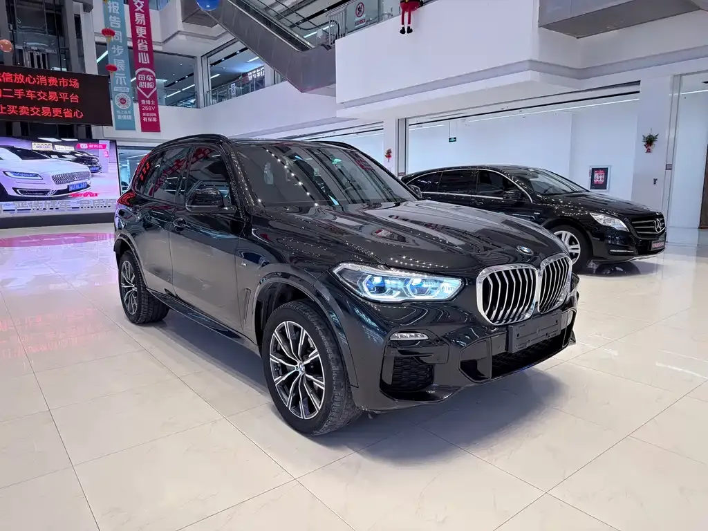 BMW X5 New Energy (Import) 2021 из CN, фото 2