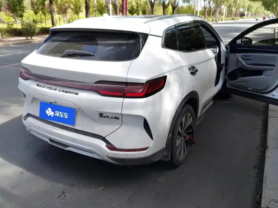 BYD PLUS New Energy 2024 из CN, фото 5