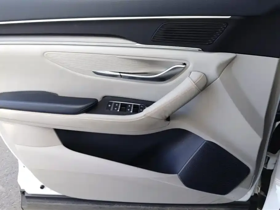 BYD PLUS New Energy 2024 из CN, фото 2