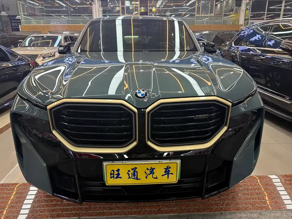 BMW XM 2024 из CN, фото 5