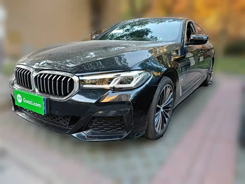 BMW 5 Series 2023 из CN, фото 4