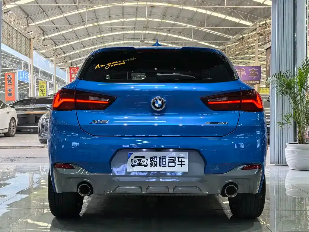 BMW X2 2021 из CN, фото 8