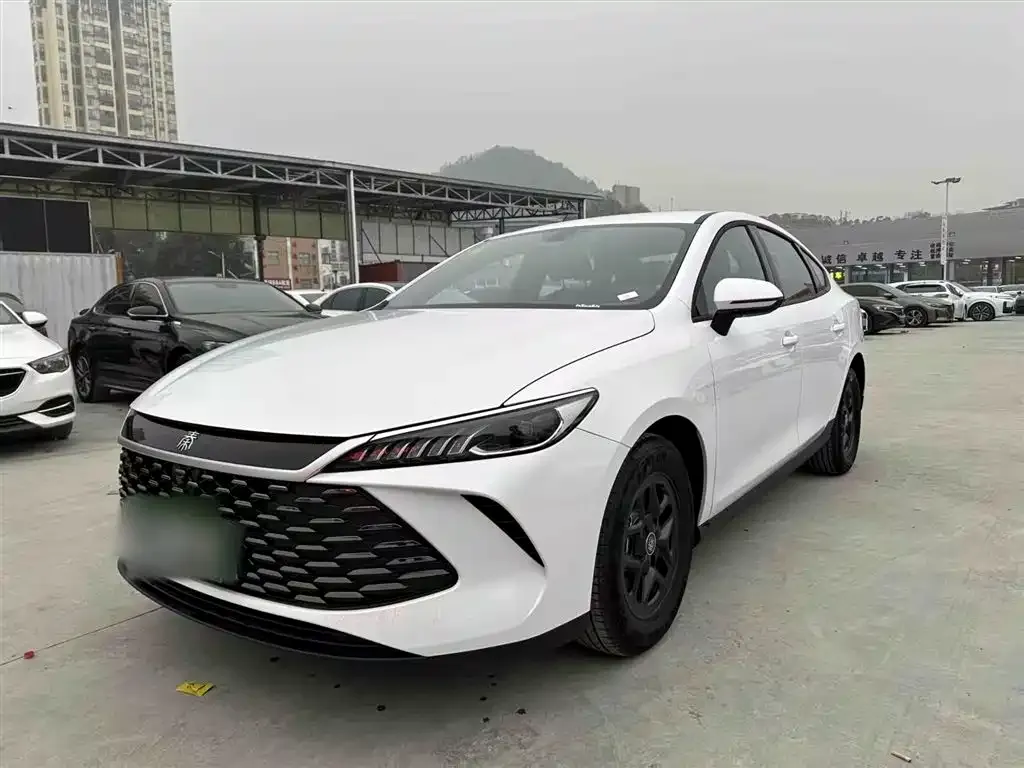 BYD Qin PLUS — фото 1