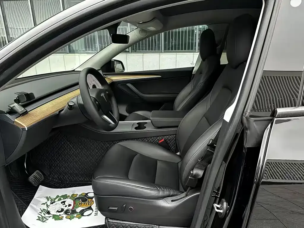 Tesla Model Y 2022 из CN, фото 5