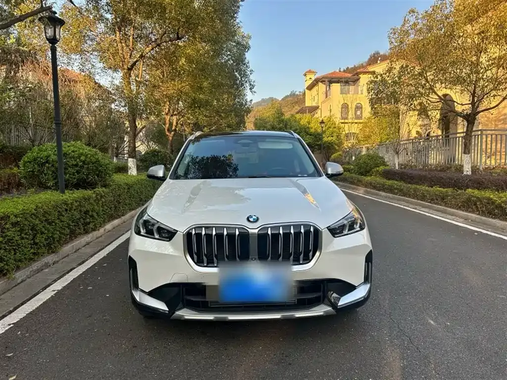 BMW X1 2024 из CN, фото 5