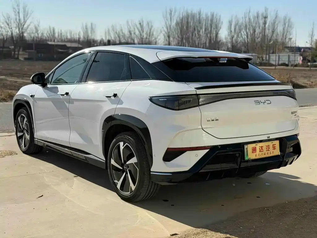 BYD Seal 07 EV 2025 из CN, фото 4