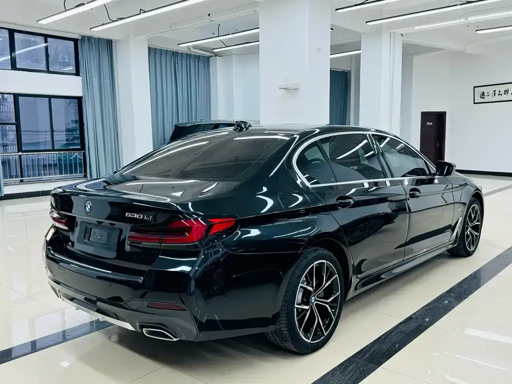 BMW 5 Series 2024 из CN, фото 8