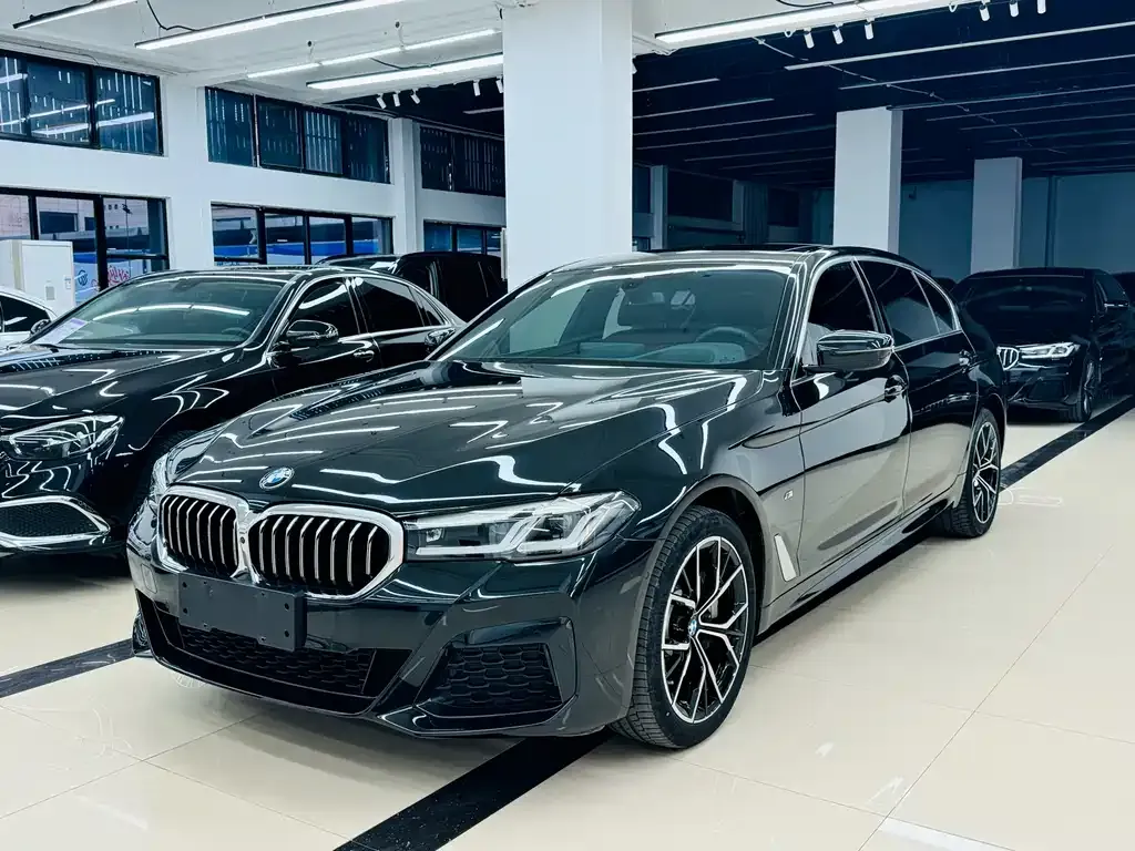 BMW 5 Series 2024 из CN, фото 3