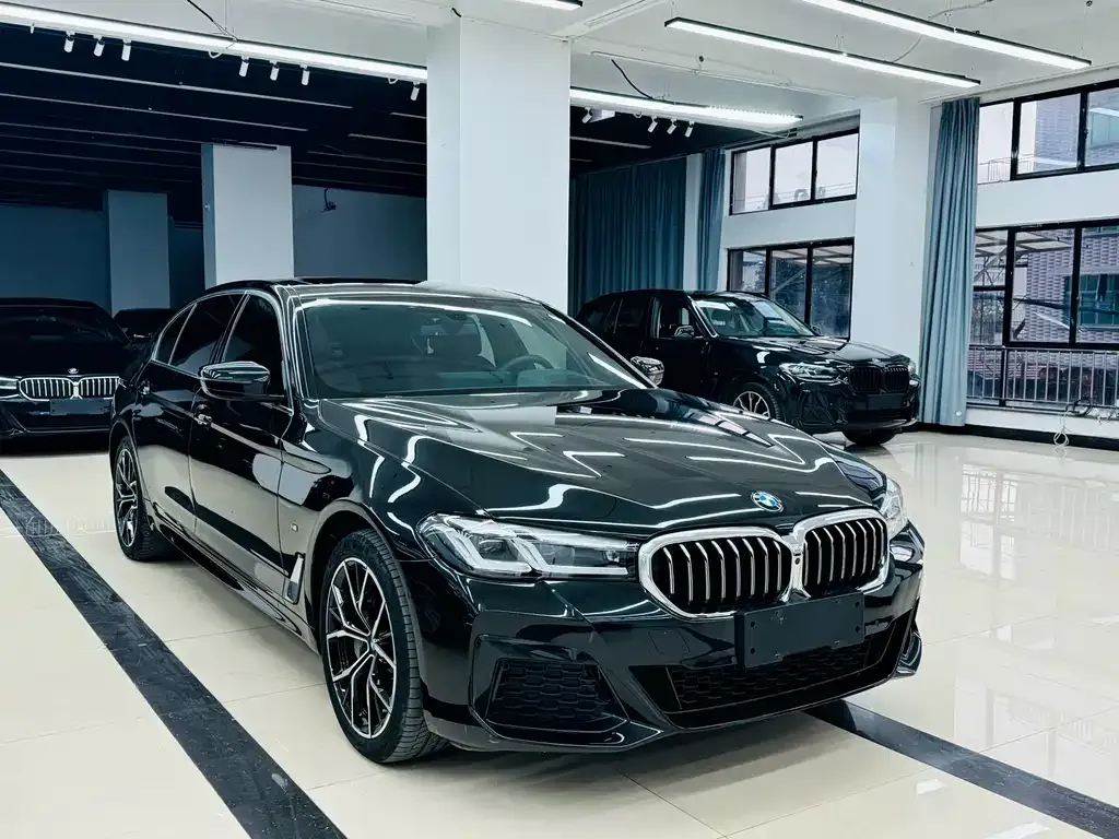 BMW 5 Series 2024 из CN, фото 5