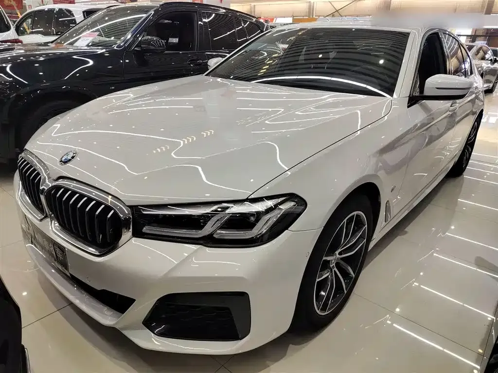 BMW 5 Series (Import) 2021 из CN, фото 1