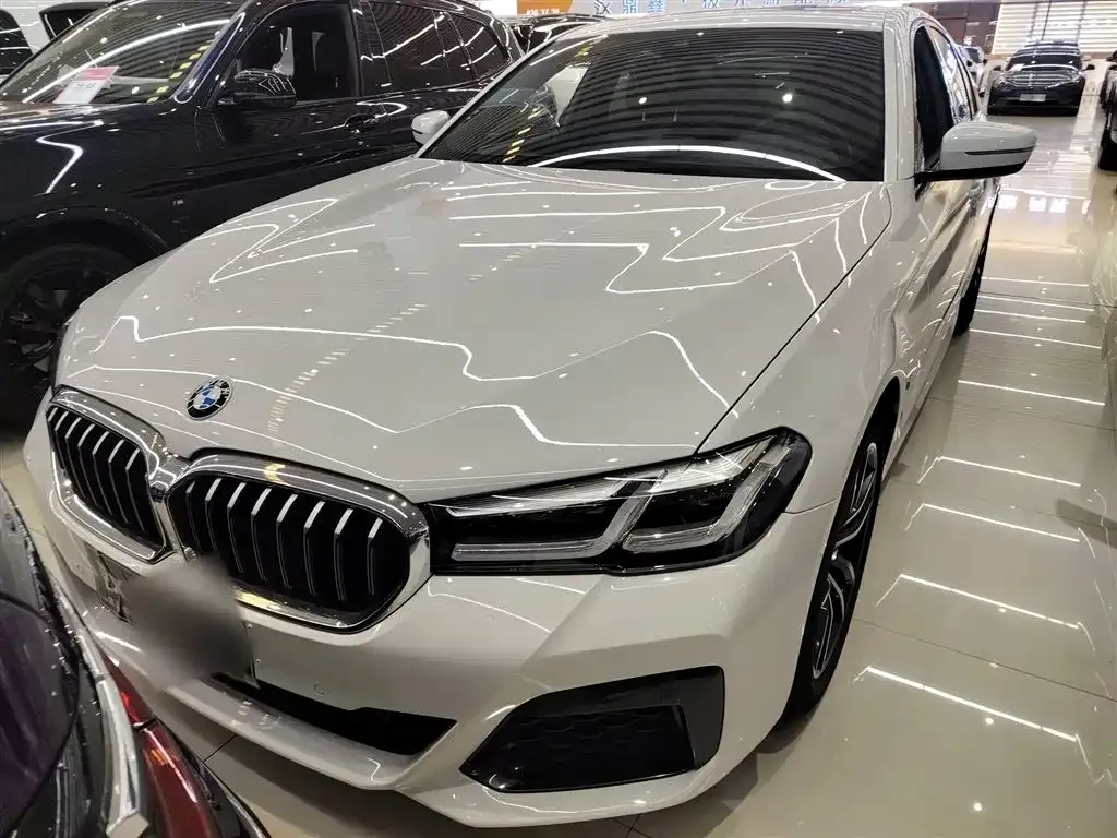 BMW 5 Series (Import) 2021 из CN, фото 8