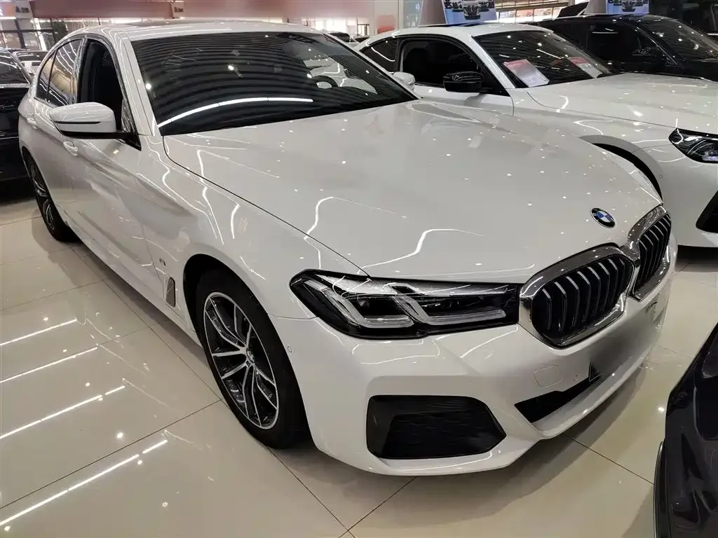 BMW 5 Series (Import) 2021 из CN, фото 4