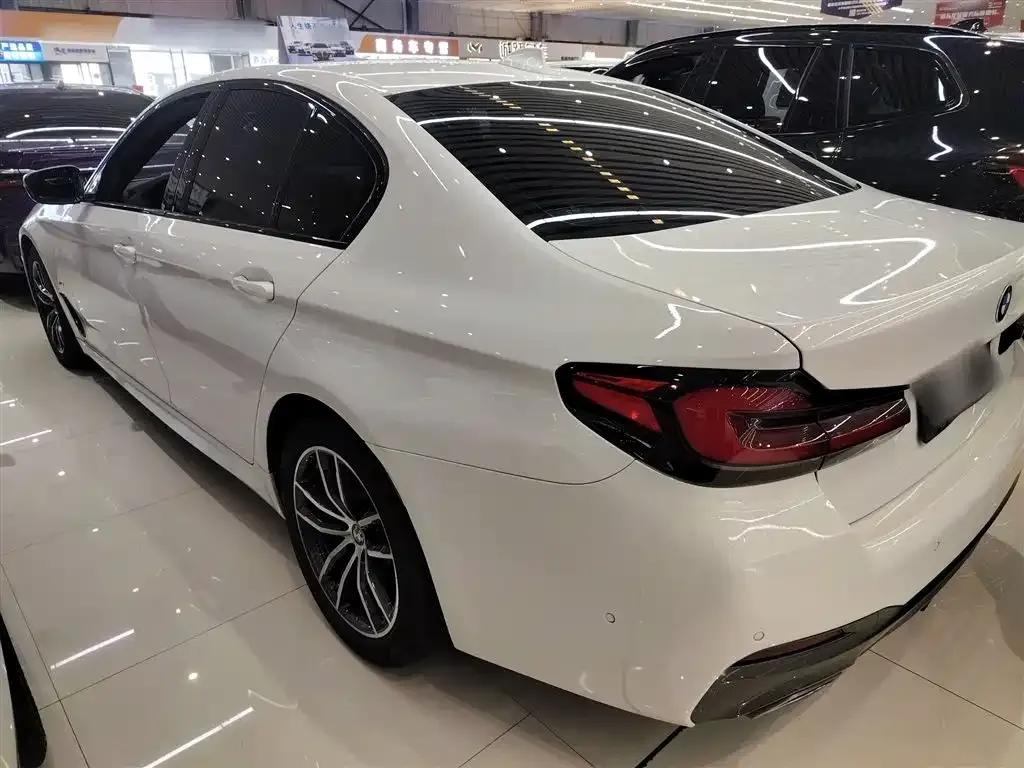 BMW 5 Series (Import) 2021 из CN, фото 9