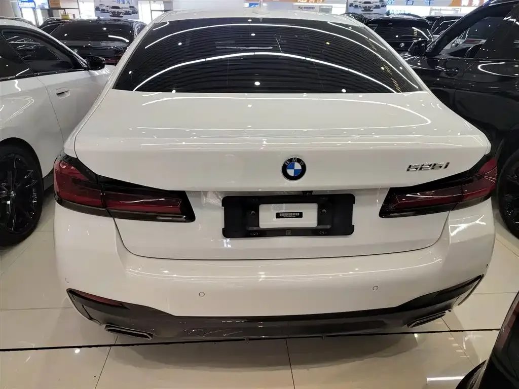 BMW 5 Series (Import) 2021 из CN, фото 2