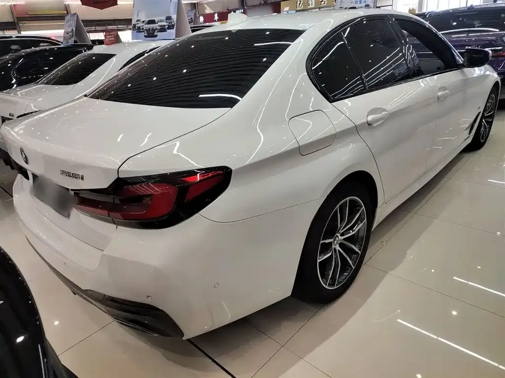 BMW 5 Series (Import) 2021 из CN, фото 5