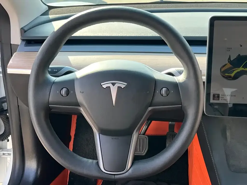 Tesla Model 3 2023 из CN, фото 2
