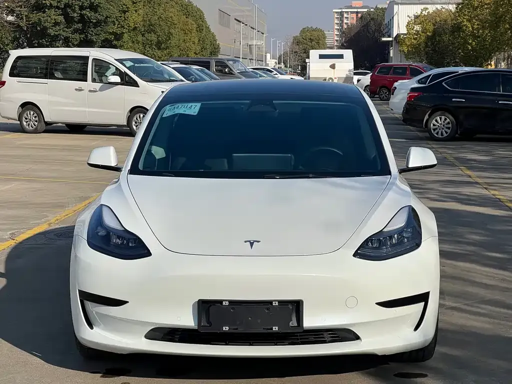 Tesla Model 3 2023 из CN, фото 6